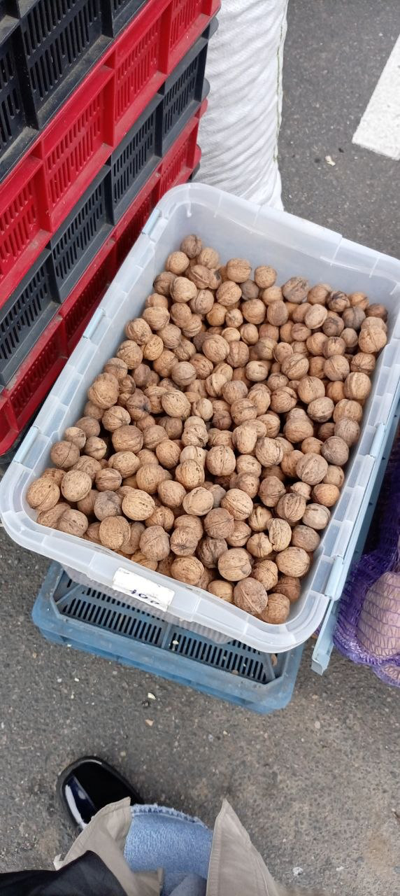 Грецкие орехи из Брестской области в ящике